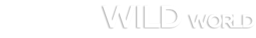 WILD WORLD
